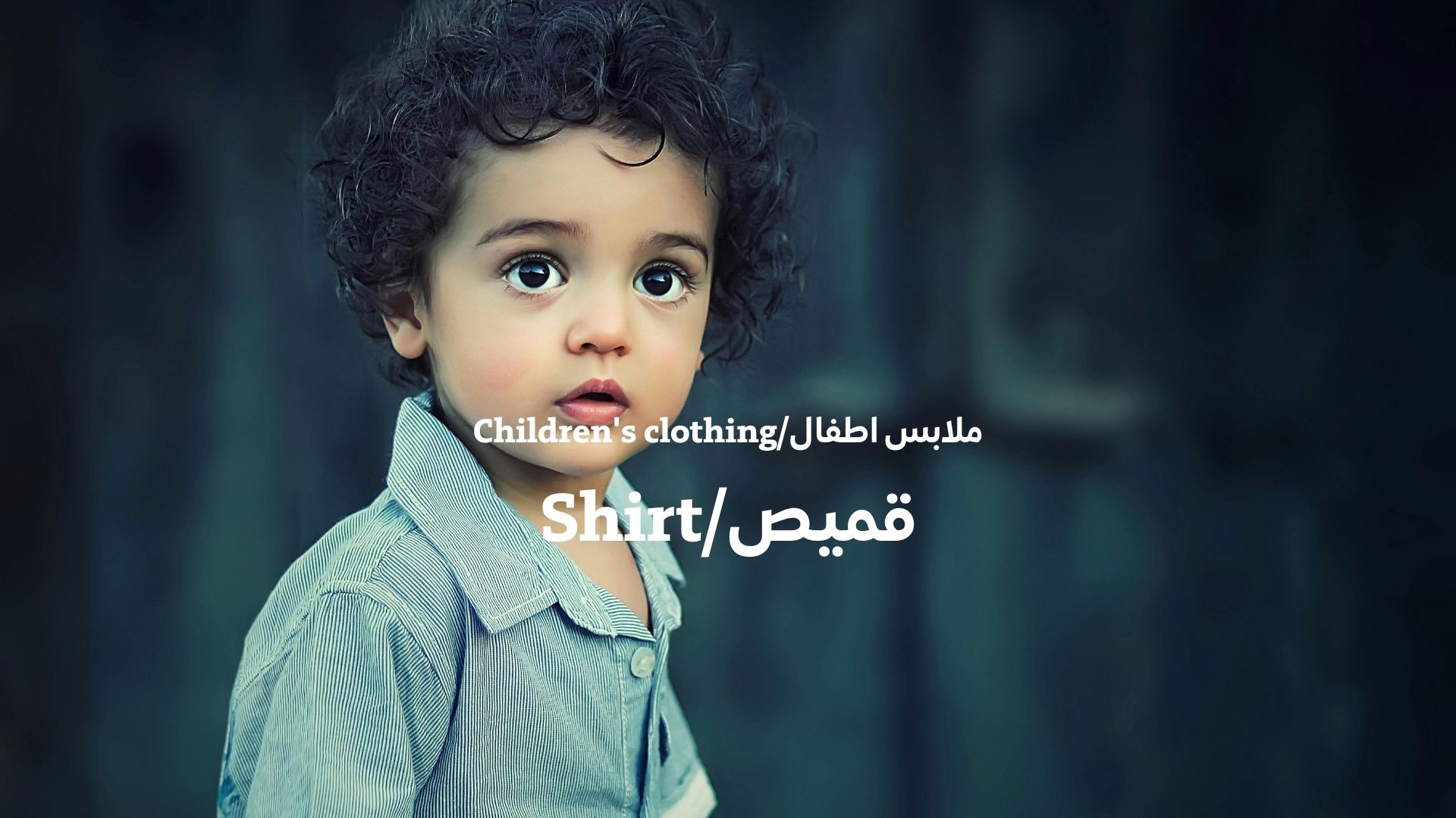 بانر المنتجات